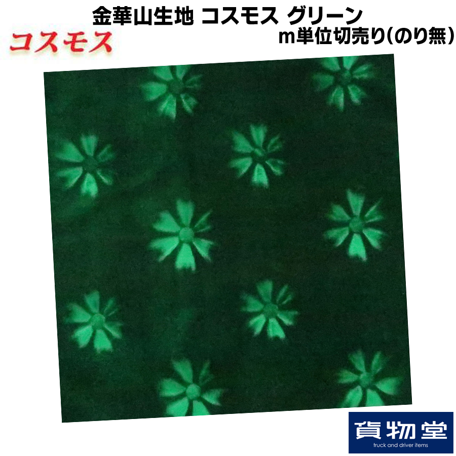金華山コスモスグリーン1m