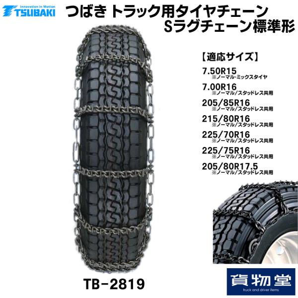 Sラグチェーン(標準) 8819 椿本チエイン T-TB-2819 メーカー直送手配